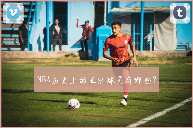 NBA历史上的亚洲球员有哪些？